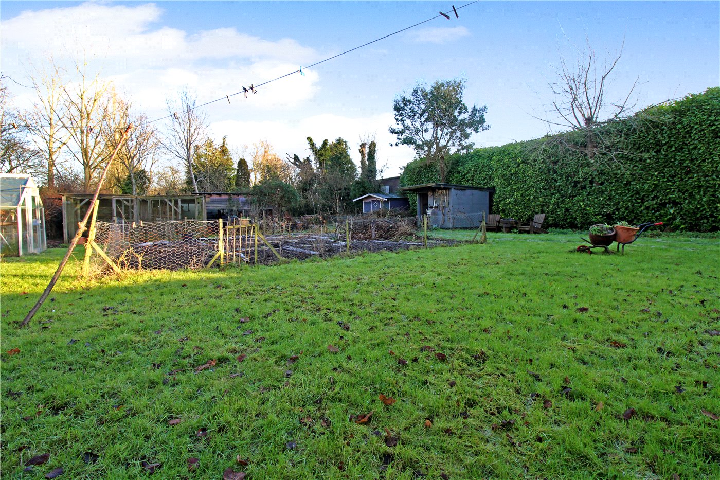 Garden 2